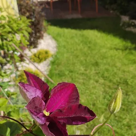 Aleksiuk Privatunterkunft